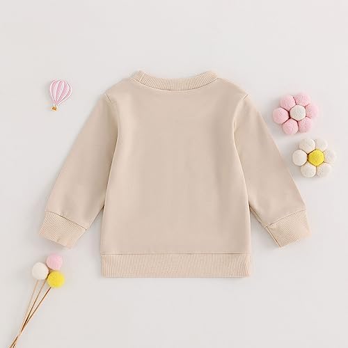Matching Toddler Sweatshirt