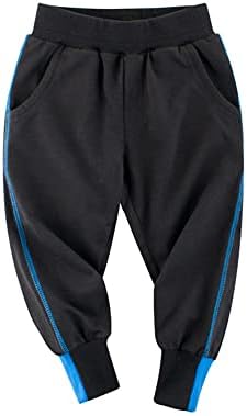 Dinosaur Adventure Toddler Boys Active Cotton Jogger Pants