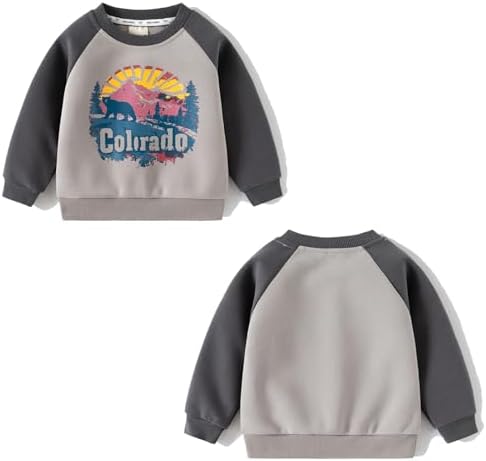 Thick Cotton Toddler Boys Winter Outfit for Fall Winter