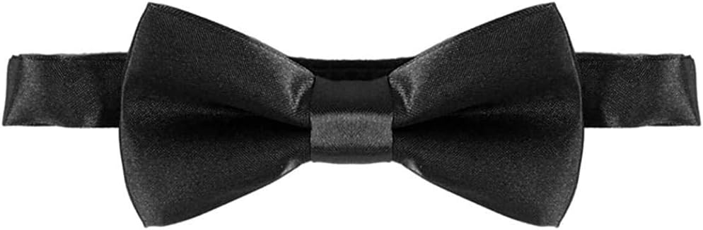 1st Birthday Lion T t Suspenders