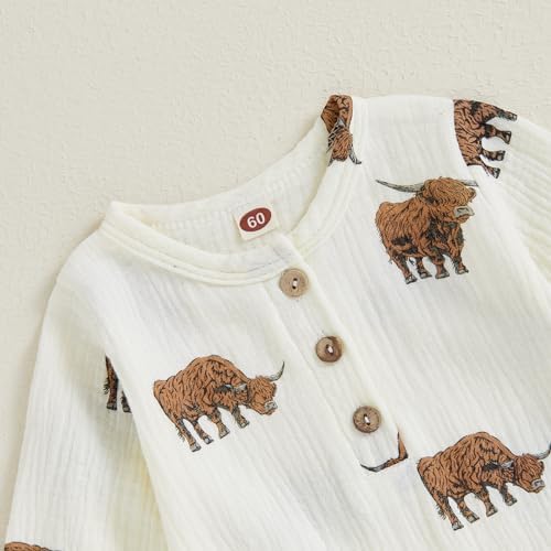 Perfect for Daily Wear