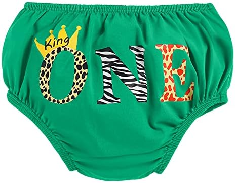 Birthday Cake Smash Outfit Jungle Lion 1st Birthday