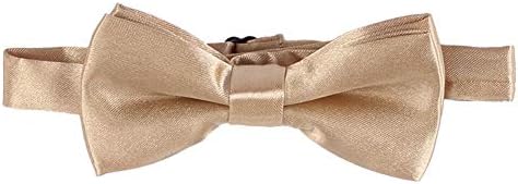 1st Birthday Lion covers Y-pants suspenders Bowtie neck