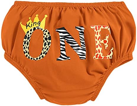 Jungle Lion 1st Birthday Playwear for Baby Boys
