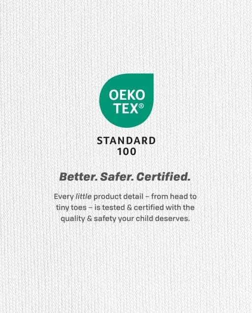 The Childrens Place 100 Cotton Snug Fit Pajamas 2-Pack for Boys