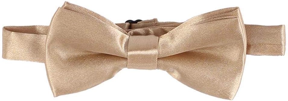 1st Birthday Lion covers Y-pants suspenders Bowtie neck