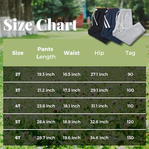2-Pack Dinosaur Cotton Jogger Pants for BabyBoys