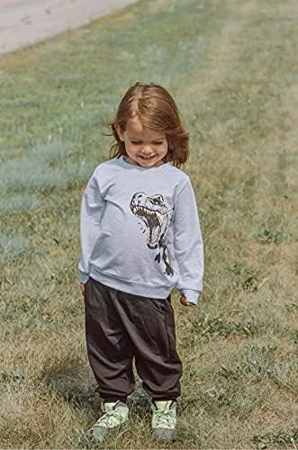 Dinosaur Boys Outfit