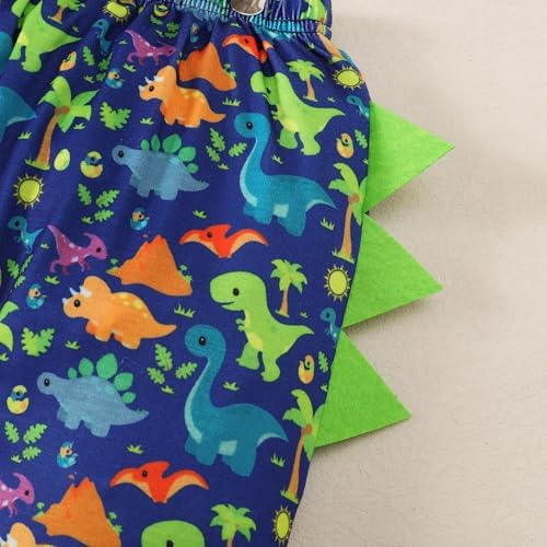 Baby Boy 1st Birthday Funny Cake Smash Outfit Bow Tie dinosaur