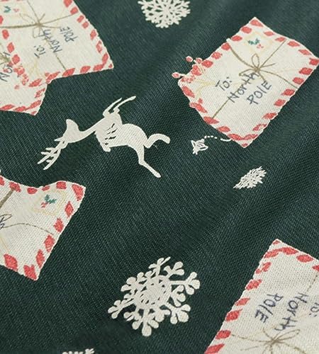 Burts Bees Baby Family Christmas Pajamas