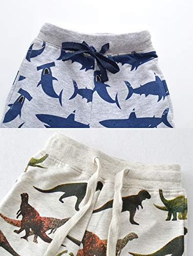 Dinosaur Riding Joggers