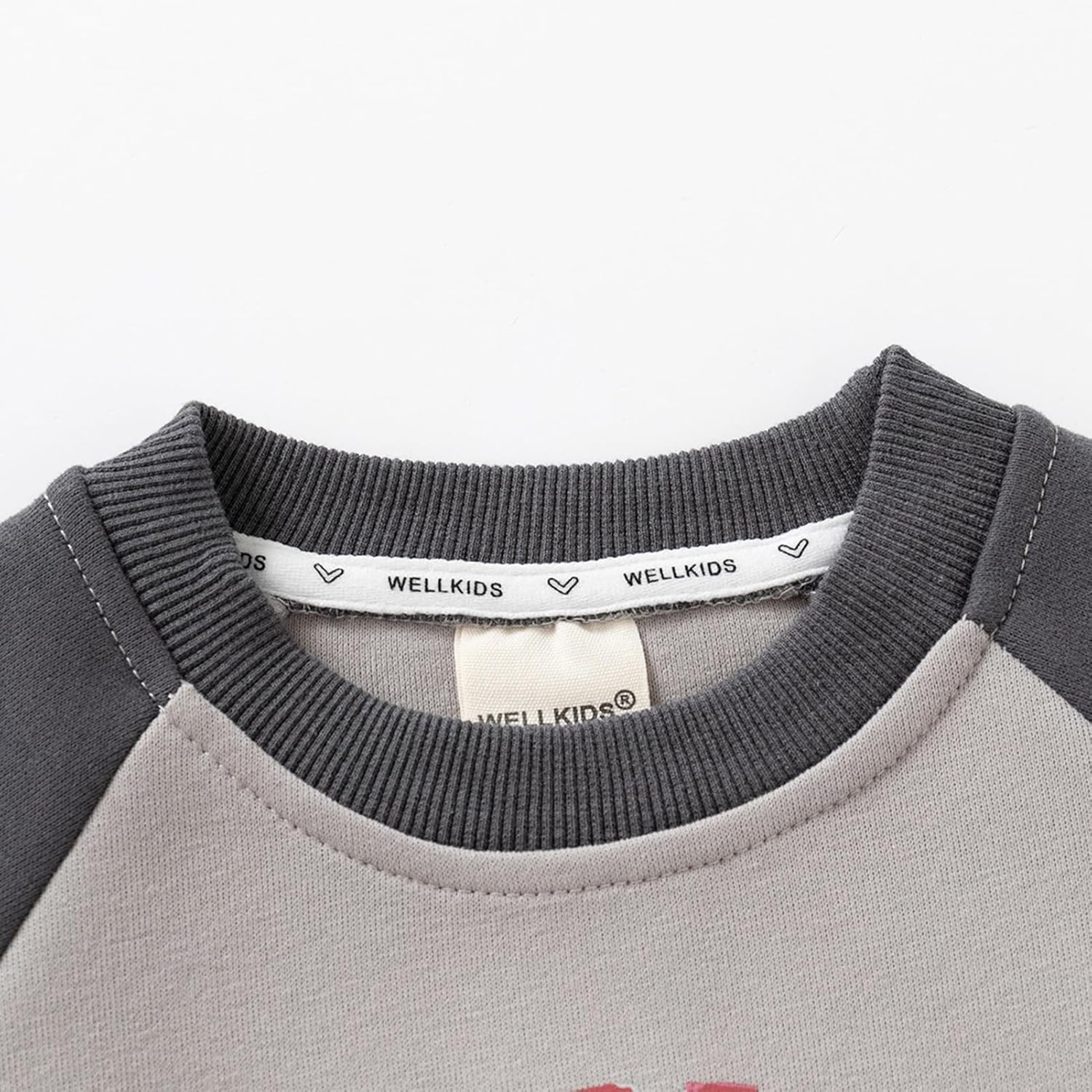Thick Cotton Toddler Boys Winter Outfit for Fall Winter