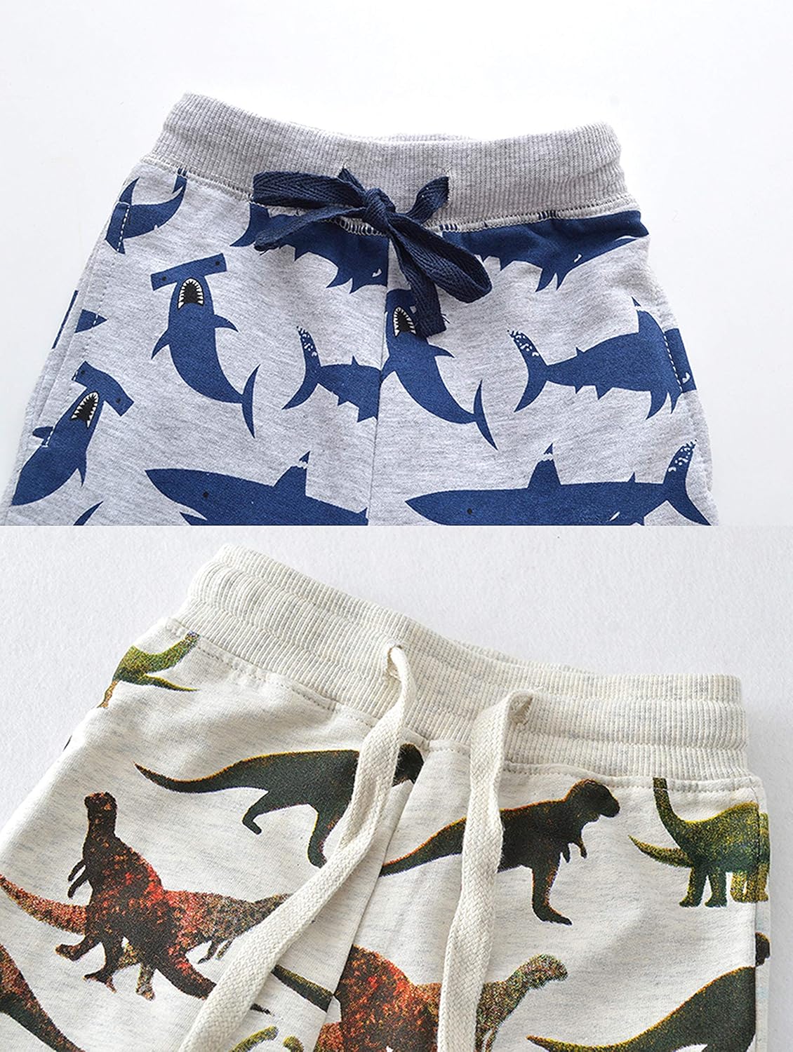 Dinosaur Riding Joggers